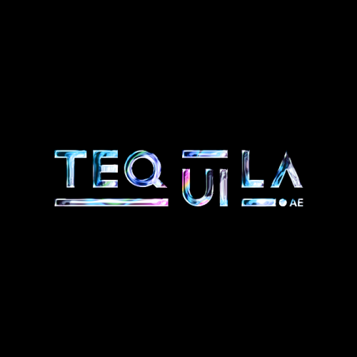 Techquila Web Design Company